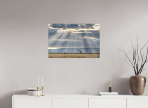 Waiting on Giants, Giraffe