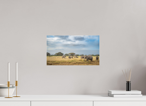 Shadow of Eden, Kenya