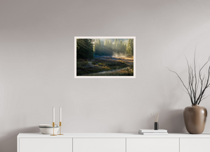 Ethereal Forest, Montenegro