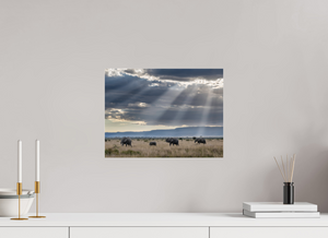 Following Tradition, Elephant