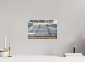 Waiting on Giants, Giraffe