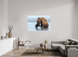 Protection, Alaskan Coastal Brown Bear Cub