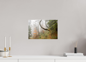 Imaginarium Opus, Slovenia