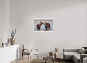 Conflict, Alaskan Coastal Brown Bear Cubs