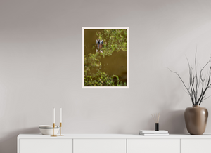 Watercolors, Anhinga