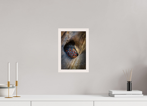 Treasure Chest, Maine