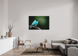 Centerpiece, Green Honeycreeper