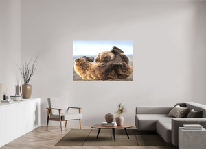 The Nursery Hour, Alaska