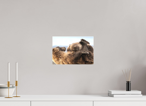 The Nursery Hour, Alaska