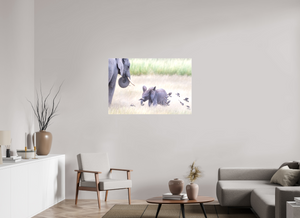 Childhood Fantasy, Elephant