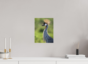 Glamour, Crowned Crane
