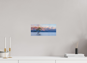 Endurance, New Zealand