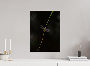 Potential Energy, Dragon Fly