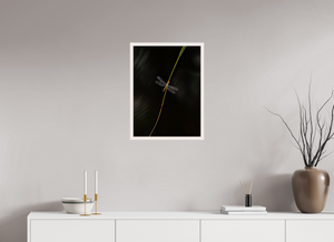 Potential Energy, Dragon Fly