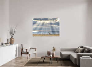 Waiting on Giants, Giraffe