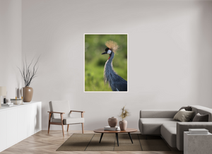 Glamour, Crowned Crane