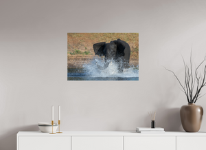 Tsunami, Elephant