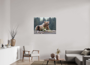Bears and Blooms, Alaskan Coastal Brown Bear