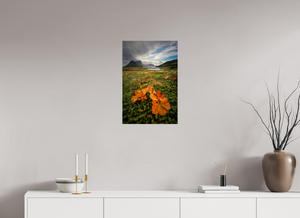 Gems in the Rough, Norway