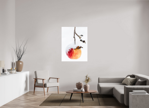 Frozen Delight, Maine