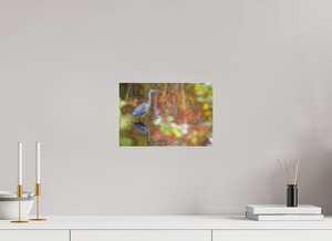 Impressions of Monet, Maine