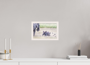 Childhood Fantasy, Elephant