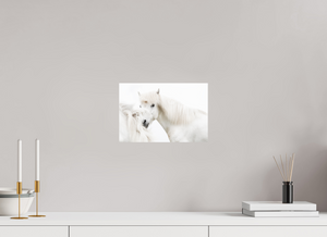 Transparency, Iceland