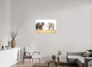 War and Peace, Elephant