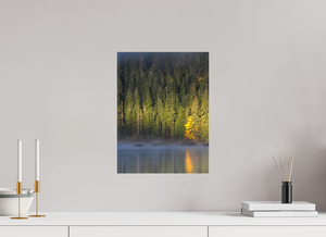 Spotlight, Montenegro