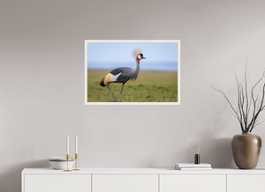 Strictly Formal, Crowned Crane