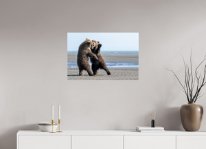 Sibling Rivalry, Alaskan Coastal Brown Bear Cubs