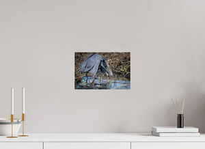 Under The Umbrella, Black Heron