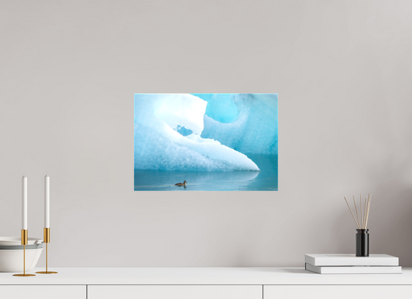 Frozen Eider, Iceland