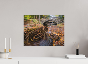 The Circumference of Autumn, Maine