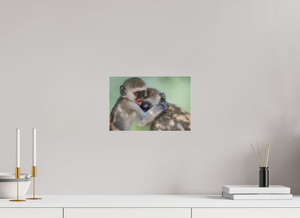 Primal Emotion, Vervet Monkey