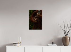Bonding, Orangutan