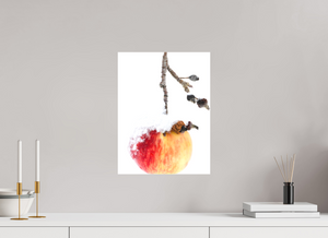 Frozen Delight, Maine