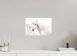 Transparency, Iceland