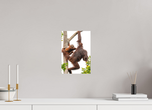 Panic Mode, Orangutan