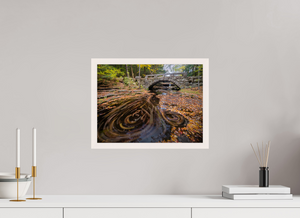 The Circumference of Autumn, Maine