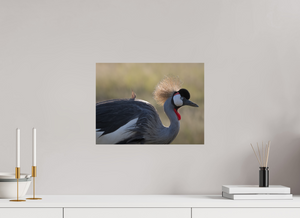 Rouge Details, Crowned Crane