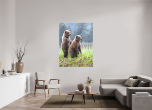 Double Trouble, Alaskan Coastal Brown Bear Cubs