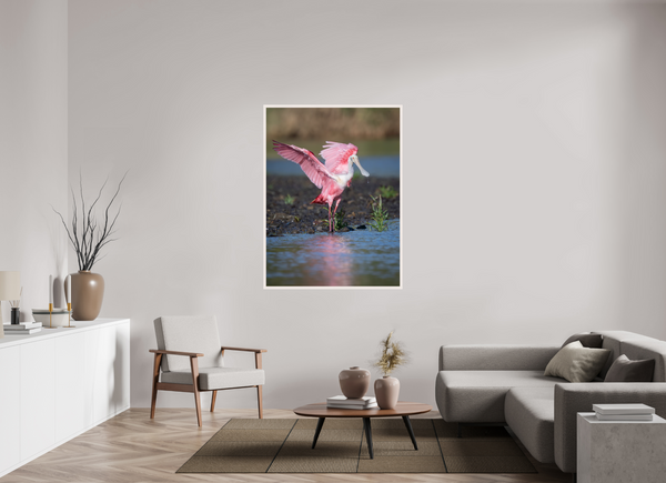 Water Dance, Roseate Spoonbill