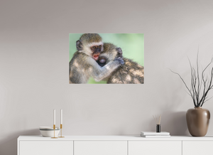 Primal Emotion, Vervet Monkey