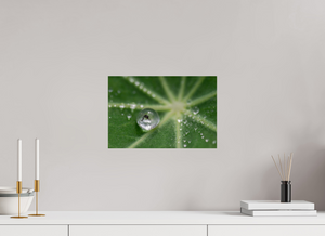 Jurassic Park, Maine