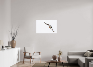 The Provider, Tufted Puffin