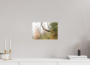 Imaginarium Opus, Slovenia