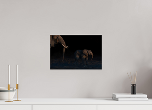 Shadow Guard, Botswana