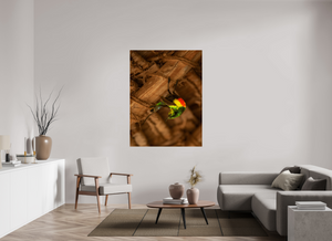 Color Balance, Sunbird