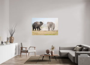 War and Peace, Elephant